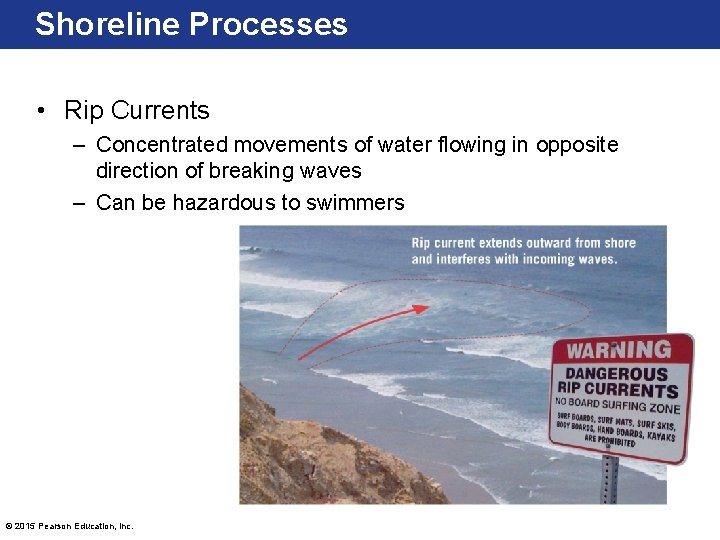 Shoreline Processes • Rip Currents – Concentrated movements of water flowing in opposite direction Shoreline Processes • Rip Currents – Concentrated movements of water flowing in opposite direction