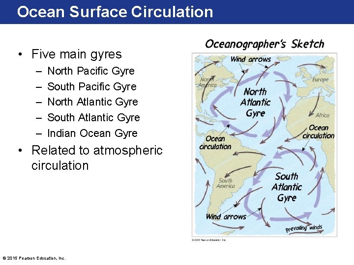 Ocean Surface Circulation • Five main gyres – – – North Pacific Gyre South Ocean Surface Circulation • Five main gyres – – – North Pacific Gyre South