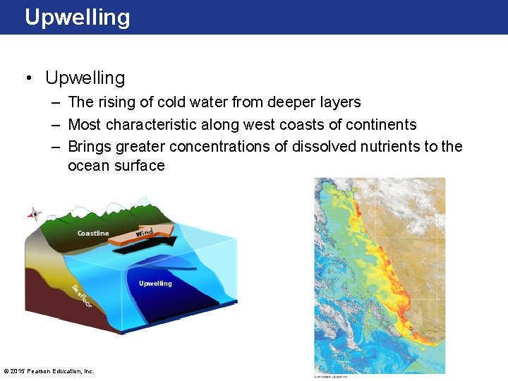 Upwelling • Upwelling – The rising of cold water from deeper layers – Most Upwelling • Upwelling – The rising of cold water from deeper layers – Most