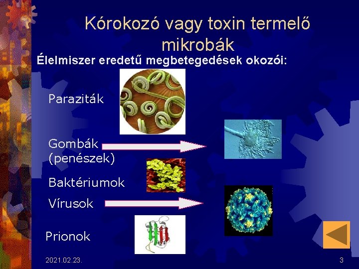 Mikrobiális parazita, Paraziták mikrobiális szennyezői