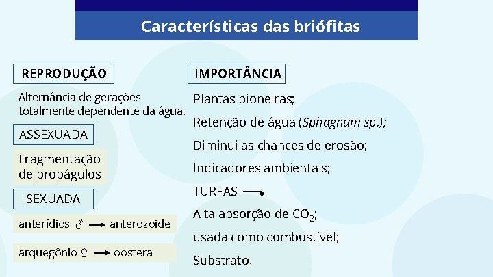 Características das briófitas REPRODUÇÃO IMPORT NCIA Alternância de gerações Plantas pioneiras; totalmente dependente da Características das briófitas REPRODUÇÃO IMPORT NCIA Alternância de gerações Plantas pioneiras; totalmente dependente da