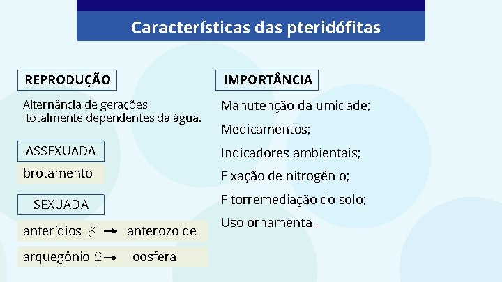 Características das pteridófitas REPRODUÇÃO IMPORT NCIA Alternância de gerações totalmente dependentes da água. Manutenção Características das pteridófitas REPRODUÇÃO IMPORT NCIA Alternância de gerações totalmente dependentes da água. Manutenção
