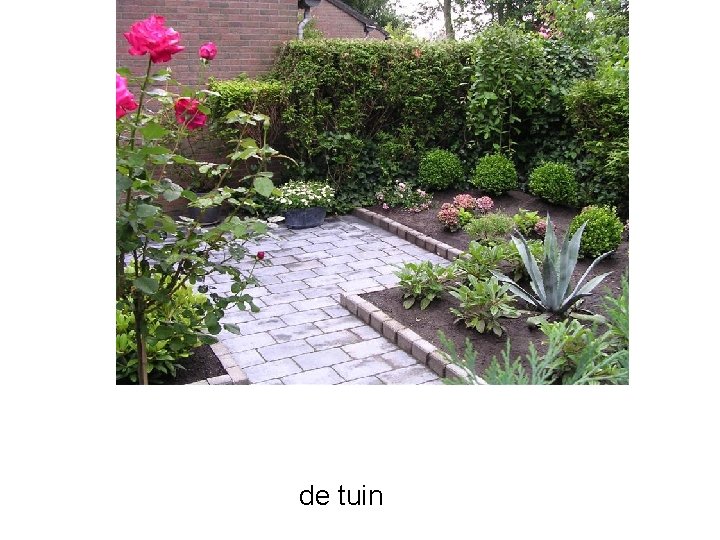 de tuin 