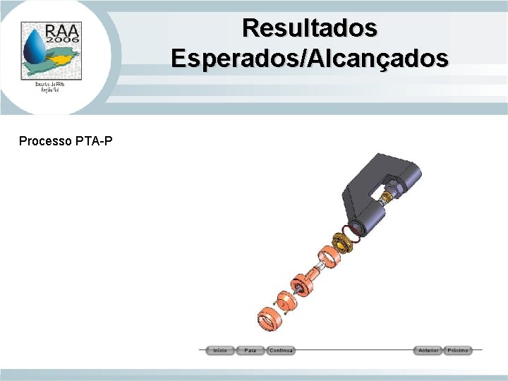 Resultados Esperados/Alcançados Processo PTA-P 