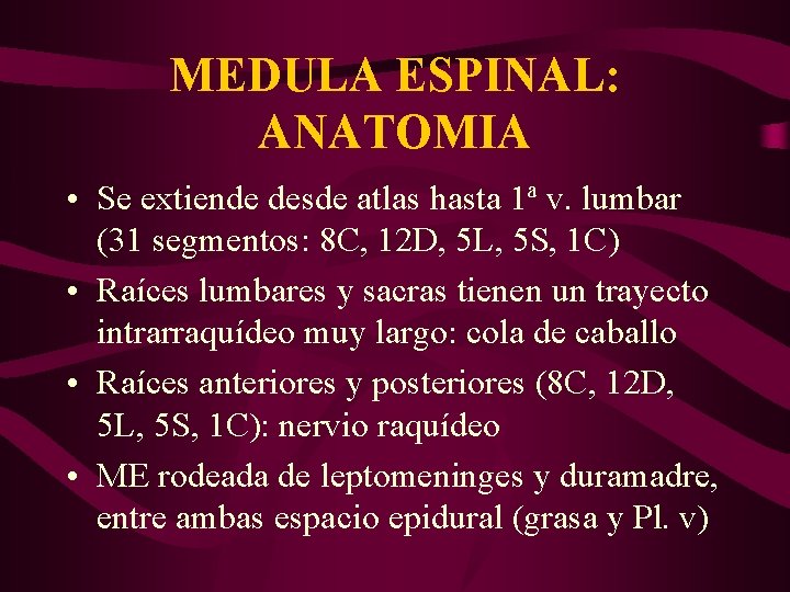 MEDULA ESPINAL: ANATOMIA • Se extiende desde atlas hasta 1ª v. lumbar (31 segmentos: