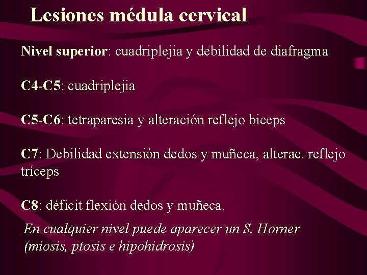 Lesiones médula cervical Nivel superior: cuadriplejia y debilidad de diafragma C 4 -C 5:
