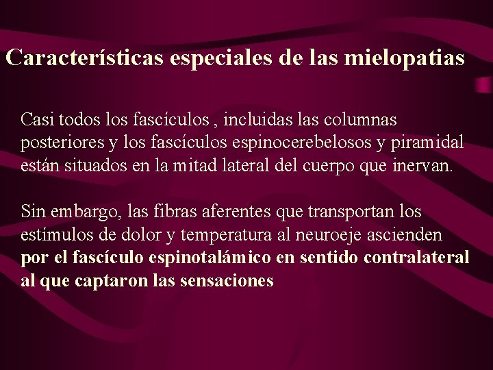 Características especiales de las mielopatias Casi todos los fascículos , incluidas las columnas posteriores