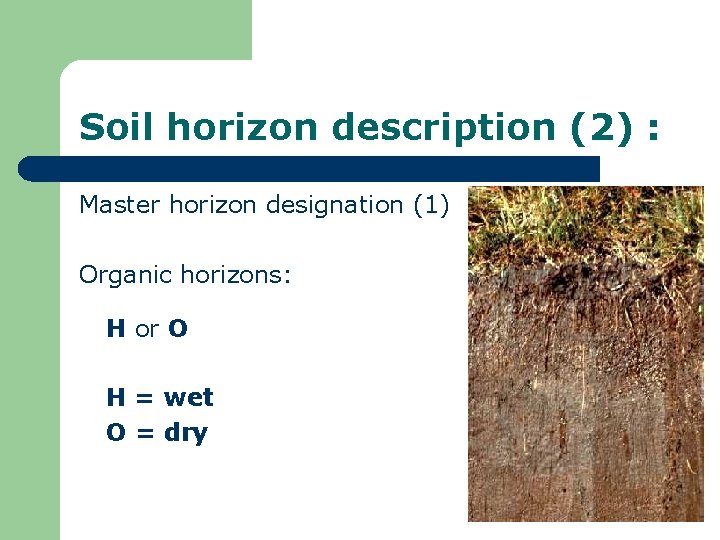 Soil horizon description (2) : Master horizon designation (1) Organic horizons: H or O