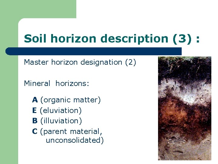 Soil horizon description (3) : Master horizon designation (2) Mineral horizons: A (organic matter)