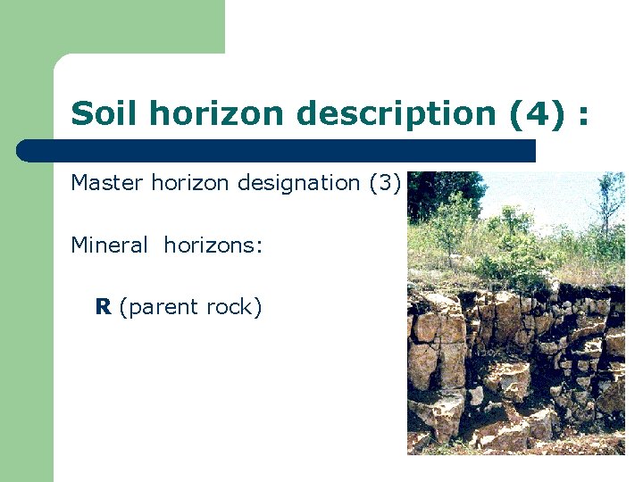 Soil horizon description (4) : Master horizon designation (3) Mineral horizons: R (parent rock)