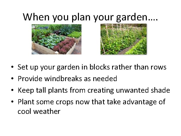 When you plan your garden…. • • Set up your garden in blocks rather