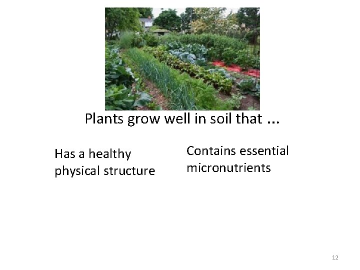  • Plants grow well in soil that … Has a healthy physical structure