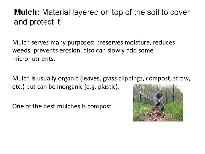 Mulch: Material layered on top of the soil to cover and protect it. Mulch