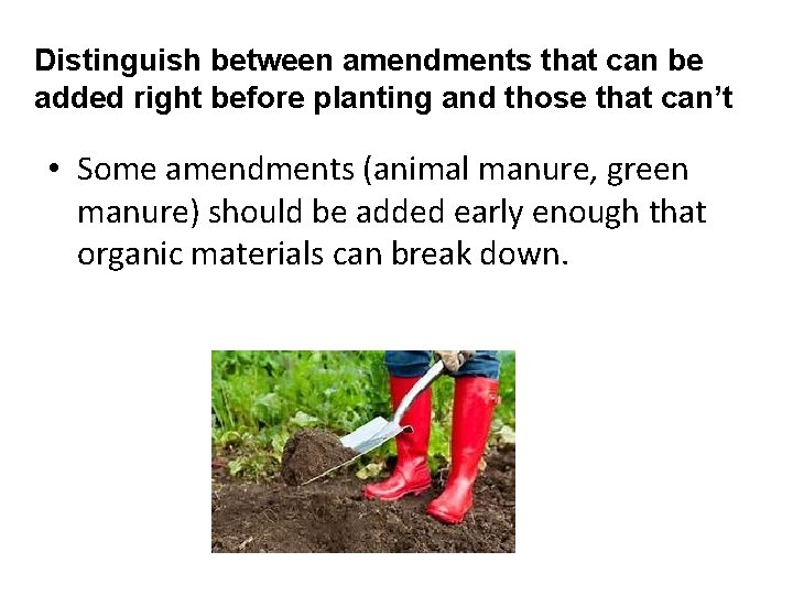 Distinguish between amendments that can be added right before planting and those that can’t