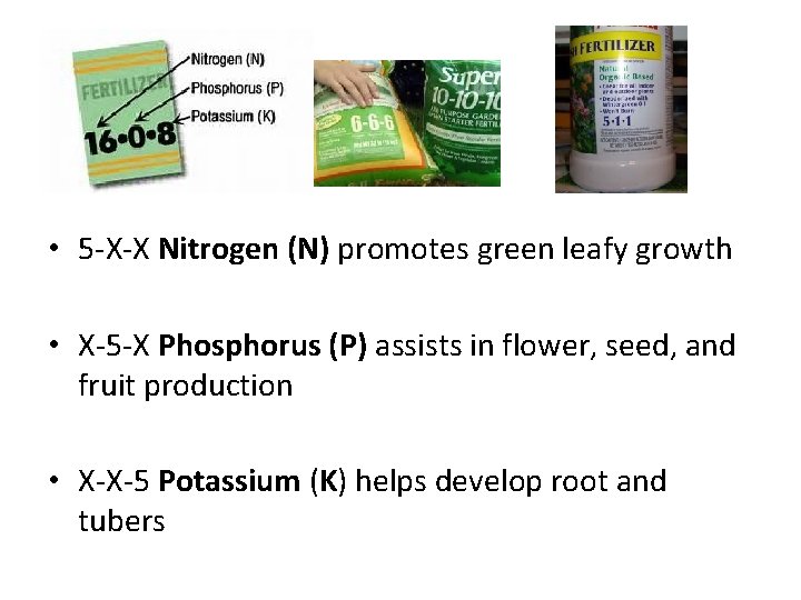  • 5 -X-X Nitrogen (N) promotes green leafy growth • X-5 -X Phosphorus