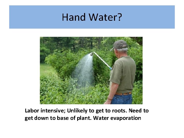 Hand Water? Labor intensive; Unlikely to get to roots. Need to get down to