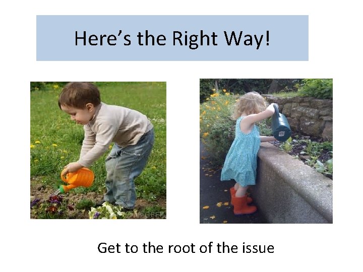 Here’s the Right Way! Get to the root of the issue 