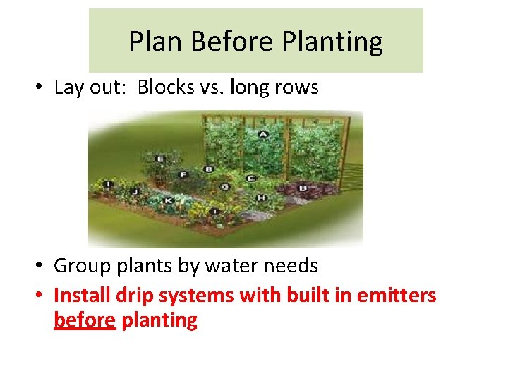 Plan Before Planting • Lay out: Blocks vs. long rows • Group plants by