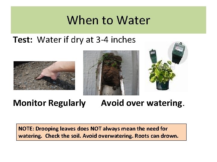 When to Water Test: Water if dry at 3 -4 inches Monitor Regularly Avoid