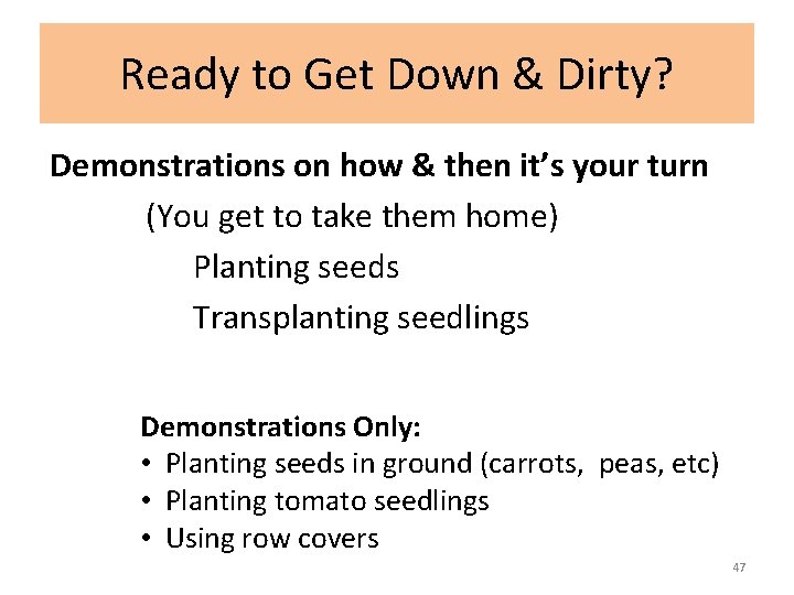 Ready to Get Down & Dirty? Demonstrations on how & then it’s your turn