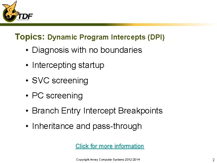 Topics: Dynamic Program Intercepts (DPI) • Diagnosis with no boundaries • Intercepting startup •