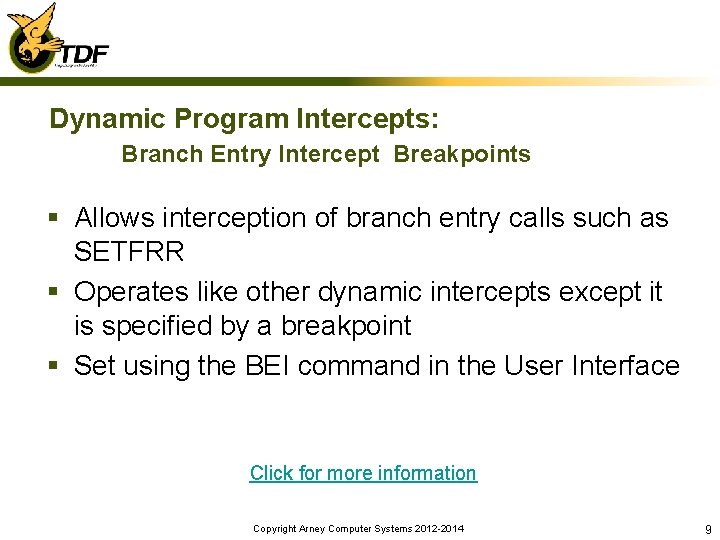 Dynamic Program Intercepts: Branch Entry Intercept Breakpoints § Allows interception of branch entry calls