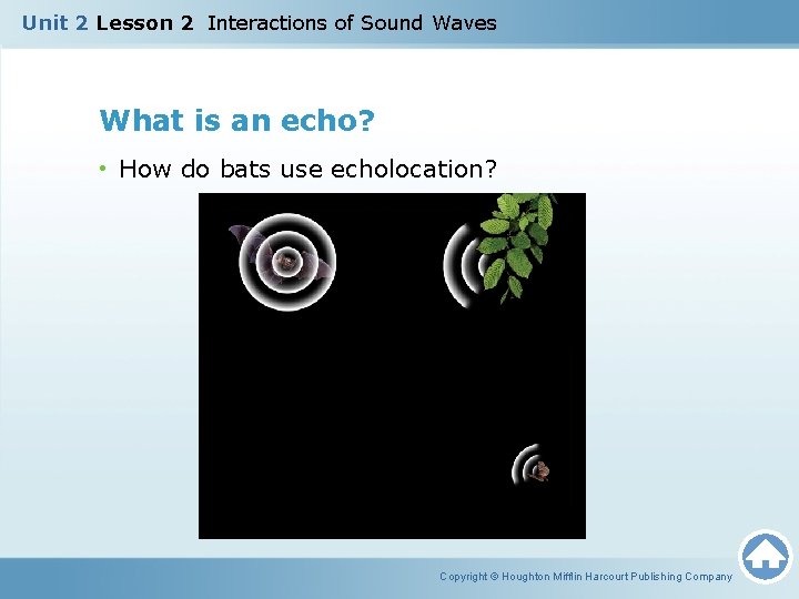 Unit 2 Lesson 2 Interactions of Sound Waves What is an echo? • How