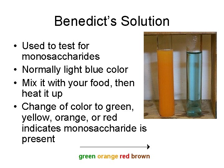 Benedict’s Solution • Used to test for monosaccharides • Normally light blue color •