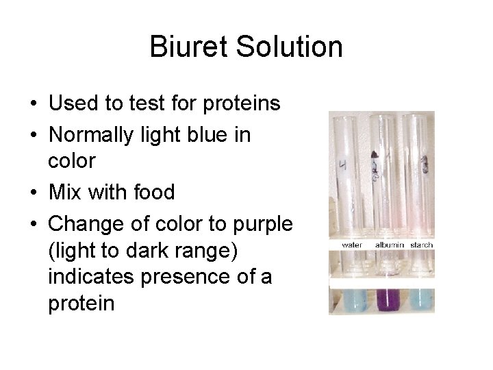 Biuret Solution • Used to test for proteins • Normally light blue in color
