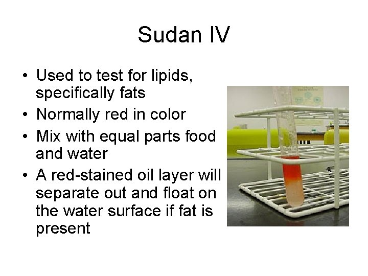 Sudan IV • Used to test for lipids, specifically fats • Normally red in
