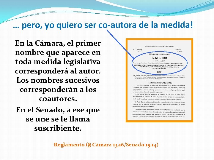 … pero, yo quiero ser co-autora de la medida! En la Cámara, el primer