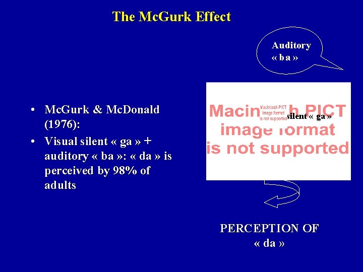 The Mc. Gurk Effect Auditory « ba » • Mc. Gurk & Mc. Donald