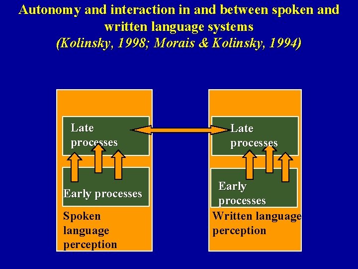 Autonomy and interaction in and between spoken and written language systems (Kolinsky, 1998; Morais