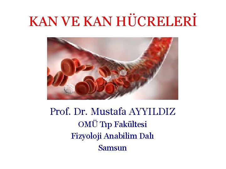 KAN VE KAN HÜCRELERİ Prof. Dr. Mustafa AYYILDIZ OMÜ Tıp Fakültesi Fizyoloji Anabilim Dalı