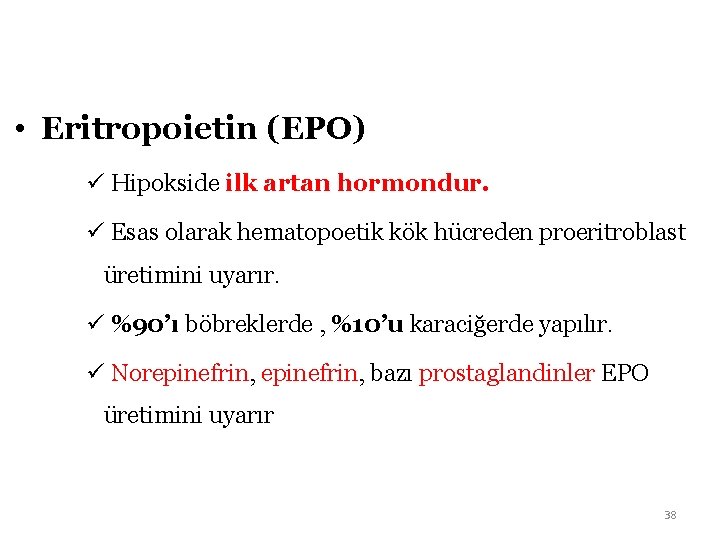  • Eritropoietin (EPO) ü Hipokside ilk artan hormondur. ü Esas olarak hematopoetik kök