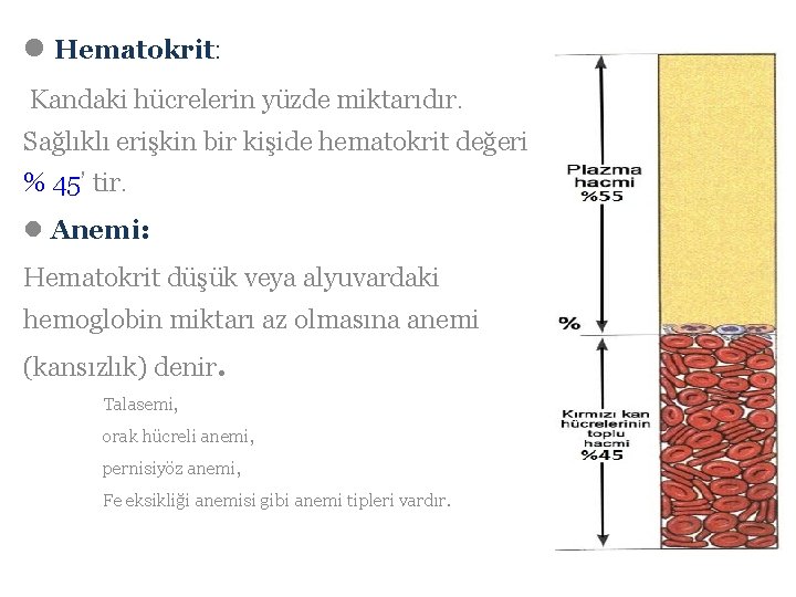 l Hematokrit: Kandaki hücrelerin yüzde miktarıdır. Sağlıklı erişkin bir kişide hematokrit değeri % 45’