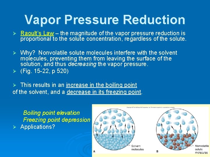 Vapor Pressure Reduction Ø Raoult’s Law – the magnitude of the vapor pressure reduction