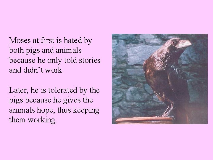 Moses at first is hated by both pigs and animals because he only told