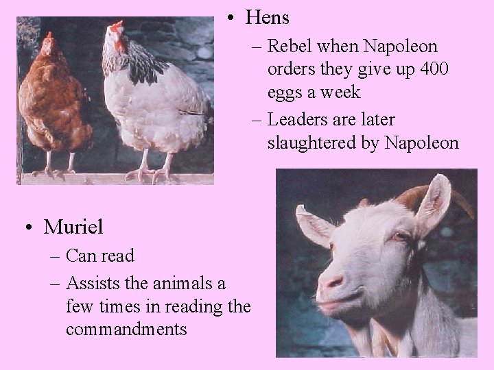  • Hens – Rebel when Napoleon orders they give up 400 eggs a