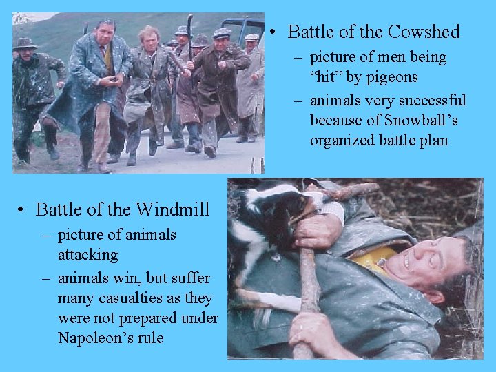  • Battle of the Cowshed – picture of men being “hit” by pigeons