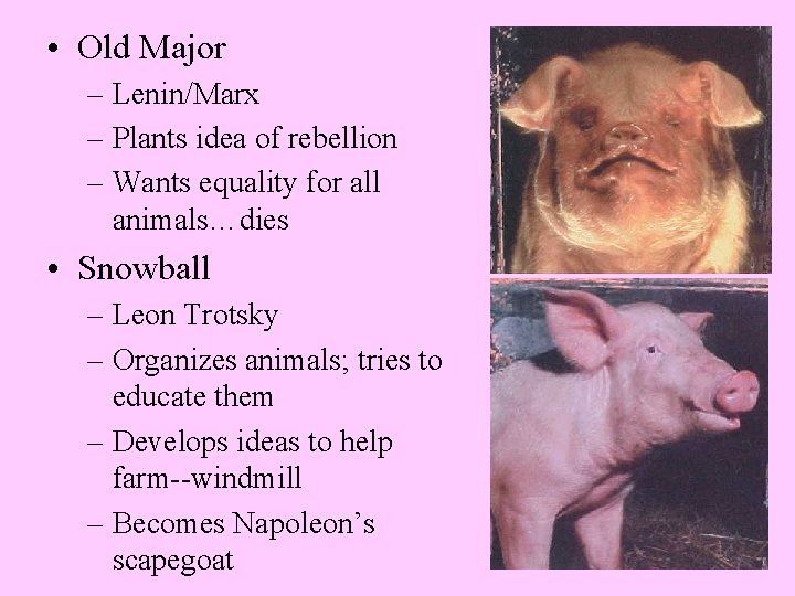  • Old Major – Lenin/Marx – Plants idea of rebellion – Wants equality