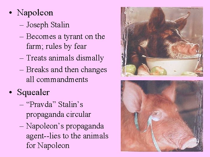  • Napoleon – Joseph Stalin – Becomes a tyrant on the farm; rules