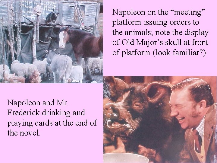 Napoleon on the “meeting” platform issuing orders to the animals; note the display of