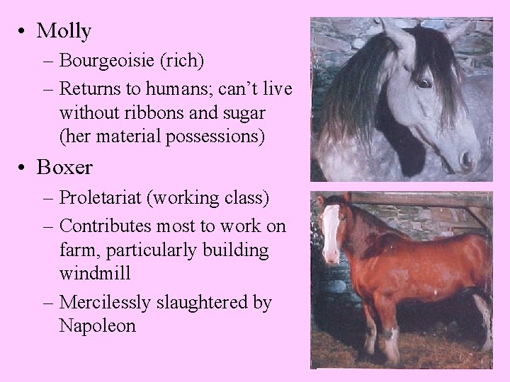  • Molly – Bourgeoisie (rich) – Returns to humans; can’t live without ribbons