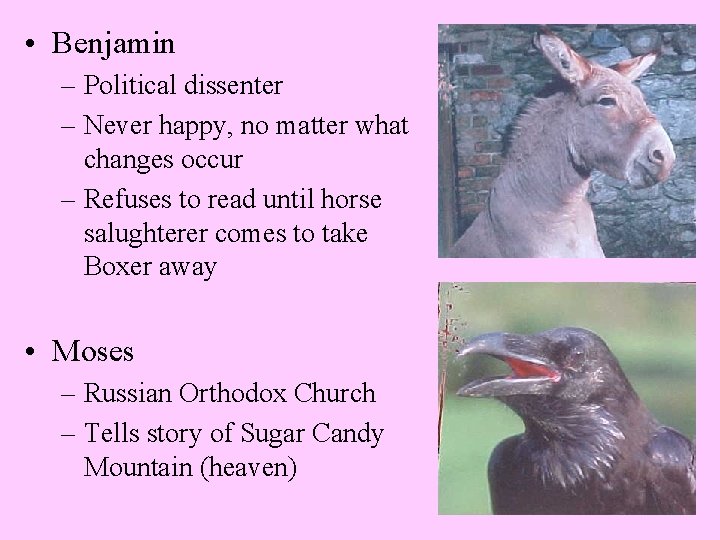  • Benjamin – Political dissenter – Never happy, no matter what changes occur