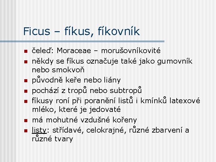 Ficus – fíkus, fíkovník n n n n čeleď: Moraceae – morušovníkovité někdy se