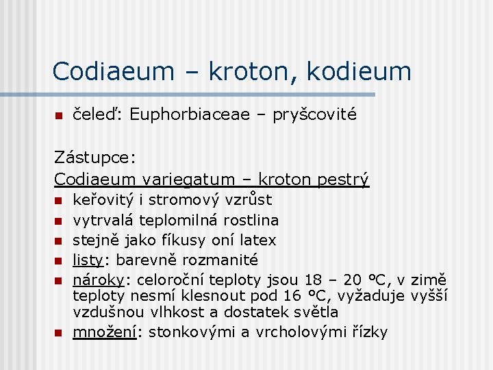 Codiaeum – kroton, kodieum n čeleď: Euphorbiaceae – pryšcovité Zástupce: Codiaeum variegatum – kroton