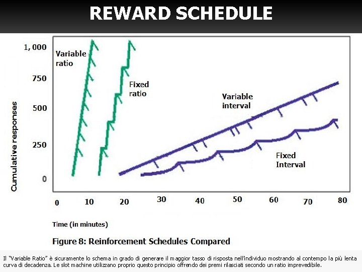 REWARD SCHEDULE Il “Variable Ratio” è sicuramente lo schema in grado di generare il REWARD SCHEDULE Il “Variable Ratio” è sicuramente lo schema in grado di generare il