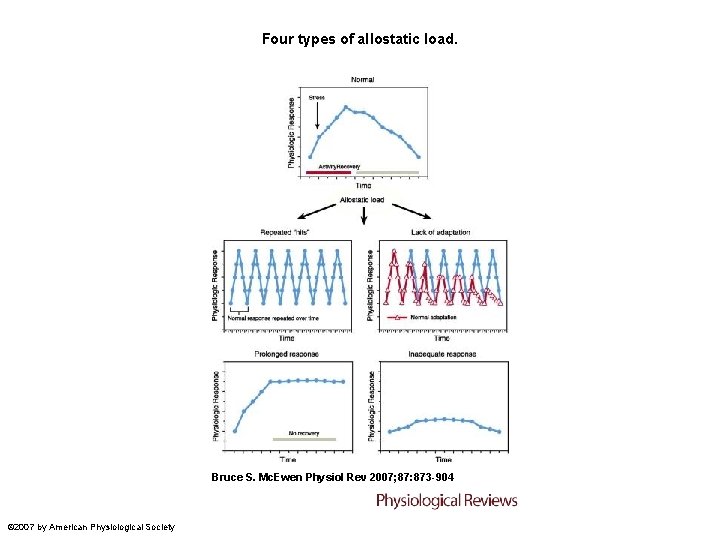Four types of allostatic load. Bruce S. Mc. Ewen Physiol Rev 2007; 87: 873 Four types of allostatic load. Bruce S. Mc. Ewen Physiol Rev 2007; 87: 873