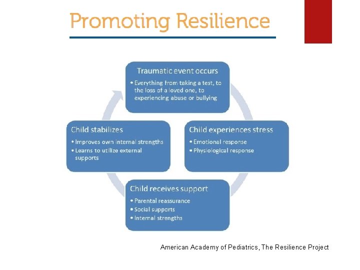American Academy of Pediatrics, The Resilience Project American Academy of Pediatrics, The Resilience Project